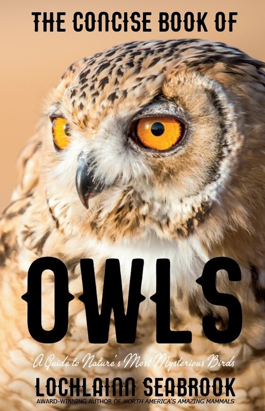 The Concise Book of Owls A Guide by L. Seabrook 20 color photographs Like New PB