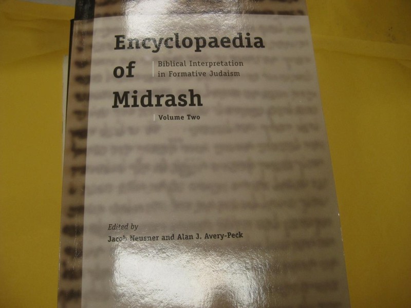 Encyclopaedia of Midrash by Jacob Neusner volume two