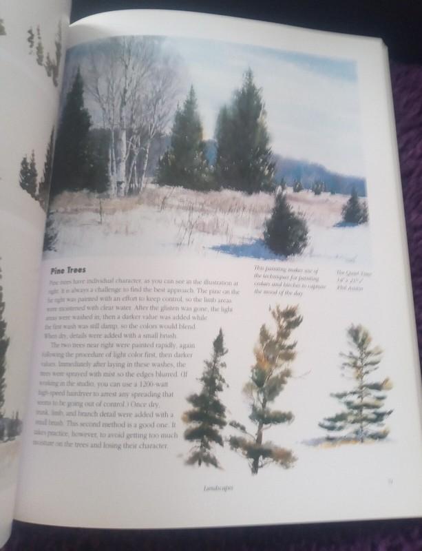 Basic Watercolor Techniques Paperback by Greg Albert & Rachel Wolf gallery