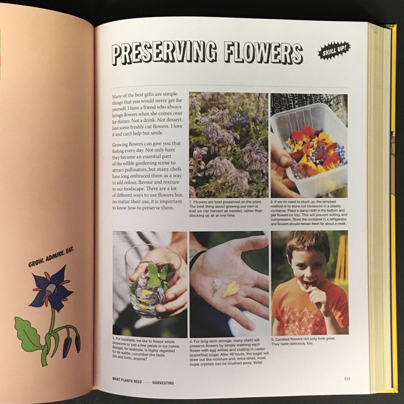 Grow Food Anywhere The New Guide to Small Space Gardening 2017 287 Pages gallery