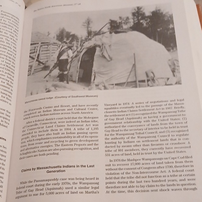 The Native North American Almanac Hardcover by Duane Champagne, 2nd Ed, Native … gallery