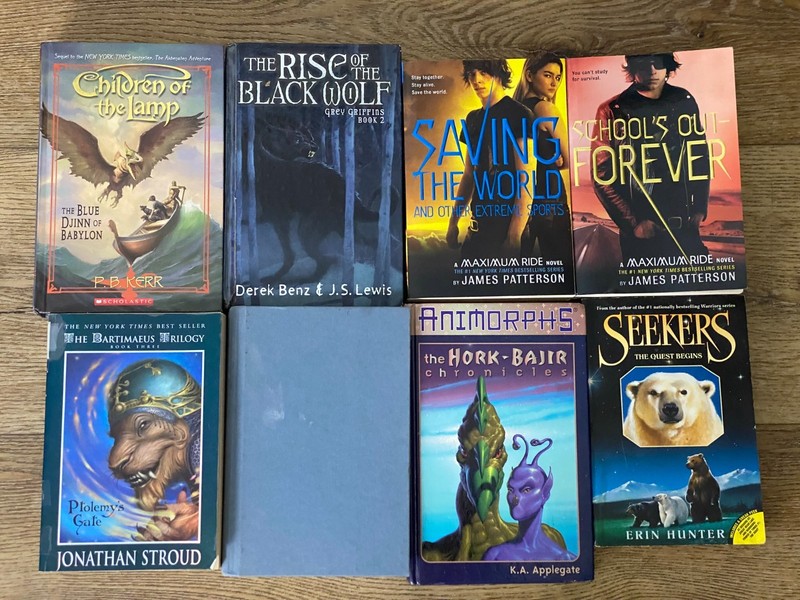 Lot of 8 Children Adventure/Fantasy Chapter Books (9-12 Years Old)- Seekers…