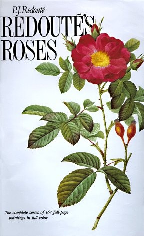 Redoute’s Roses