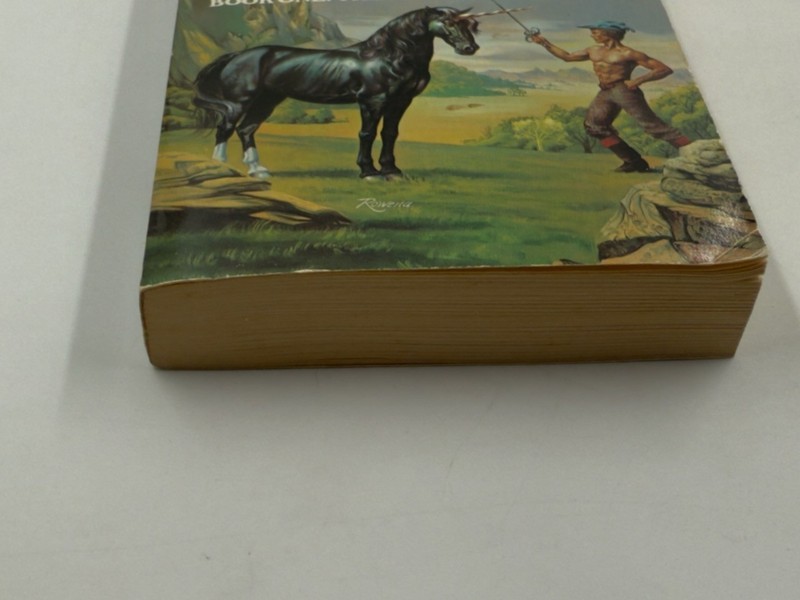 Piers Anthony, Split Infinity (PB Del Rey 1st Ed 1/1981) gallery