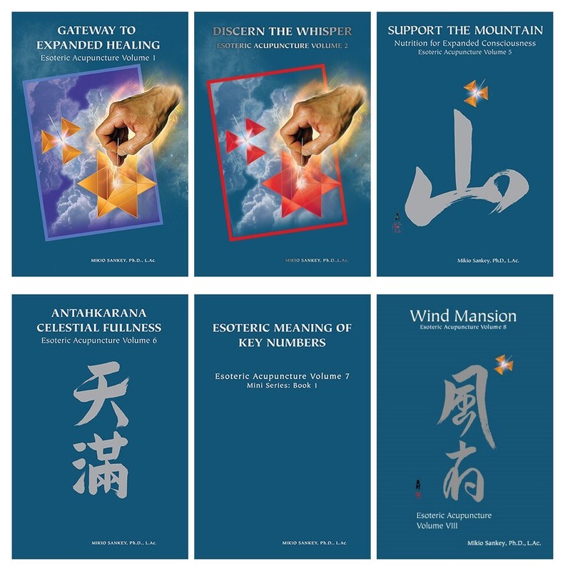 Esoteric Acupuncture: Vol 1+2+5+6+7+8, a set by Mikio Sankey (Paperback)