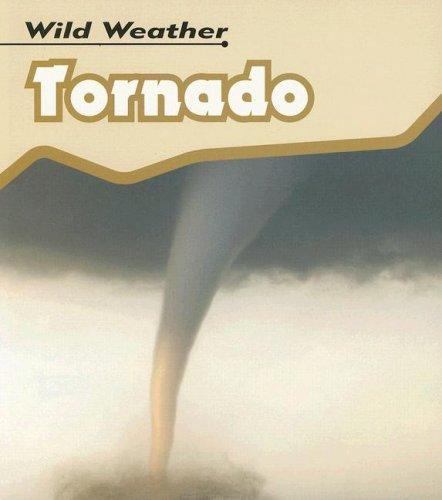 Tornado (Wild Weather) by Catherine Chambers