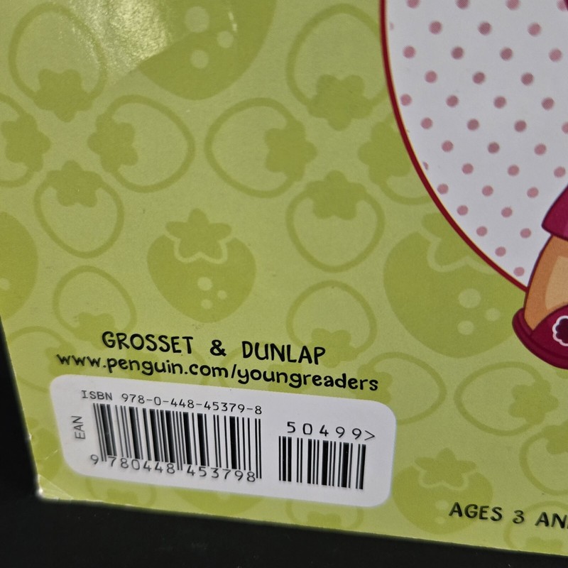 Lot Of 2 Strawberry Shortcake Books From 2010's gallery