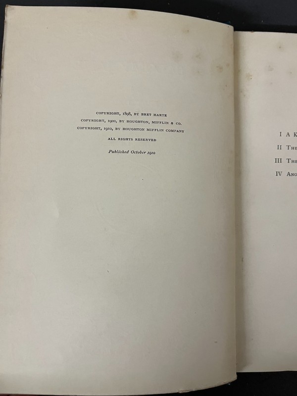 Salomy Jane by Bret Harte 1898-good gallery