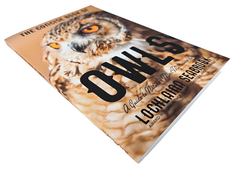 The Concise Book of Owls A Guide By L Seabrook 20 color photographs paperback gallery