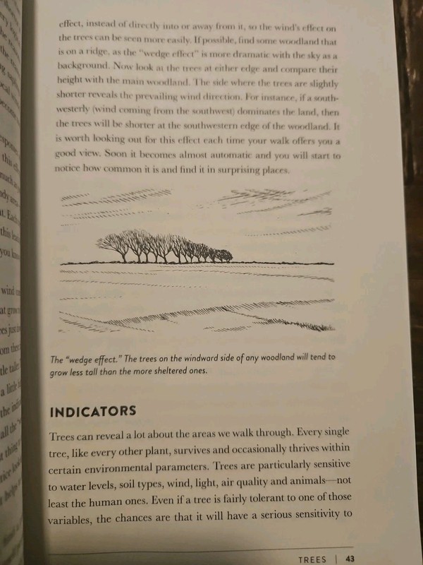 The Lost Art of Reading Nature’s Signs: Use Outdoor Clues to Find Your Way... gallery