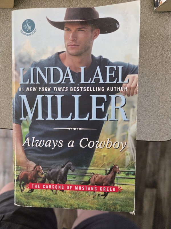 Linda Lael Miller Book Lot Of 12 PB 4 Are 2 Or 4-in-1. 18 Story Total Romance gallery