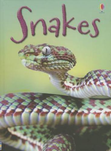 Snakes (Usborne Beginners) by James MacLaine Becka Moor Paul Parker