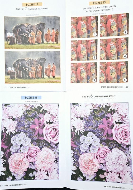 Bundle Of 4 Spot the Difference Puzzle Books Intermediate/ Challenging 2024 NEW! gallery