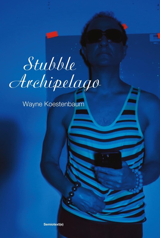 Stubble Archipelago (Semiotext(e) / Native Agents), Koestenbaum, Wayne, Excellen