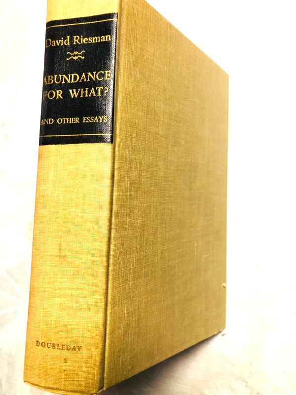 RARE 1ST EDIT! Abundance for What? by Riesman, David (1964, Hardcover) GREAT HC