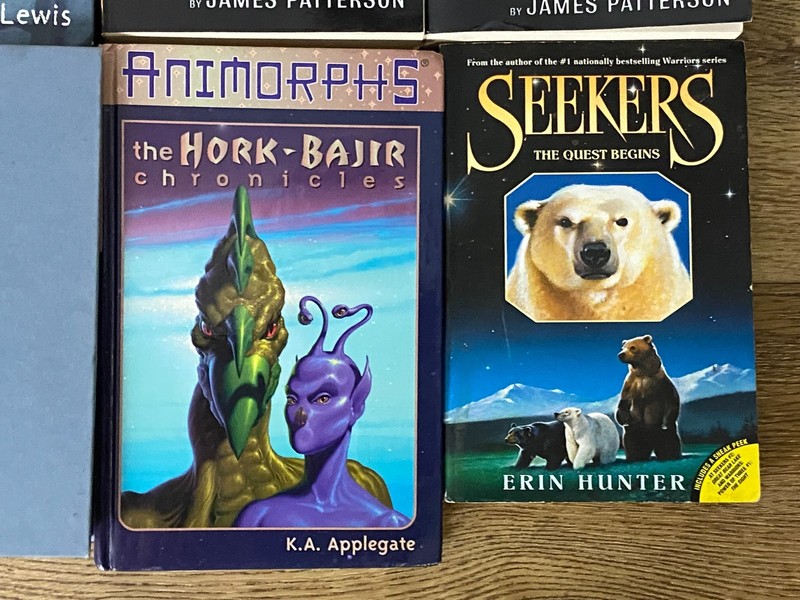 Lot of 8 Children Adventure/Fantasy Chapter Books (9-12 Years Old)- Seekers... gallery