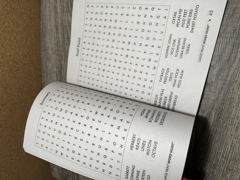 Large Print Word Hunt Search Find Puzzle Book, Volume 151 Sharpens Memory gallery