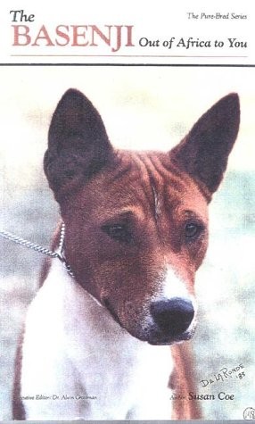 The Basenji: Out of Africa to You : A New Look – paperback Coe, Susan