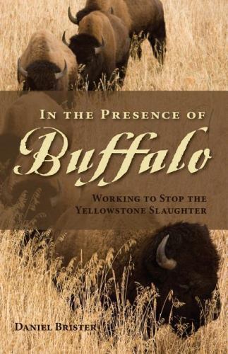 In the Presence of Buffalo: Working – 0871089599, Daniel Brister, paperback, new