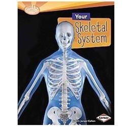 Your Skeletal System (Searchlight Books ™ ― How Does Your Body Work?) by