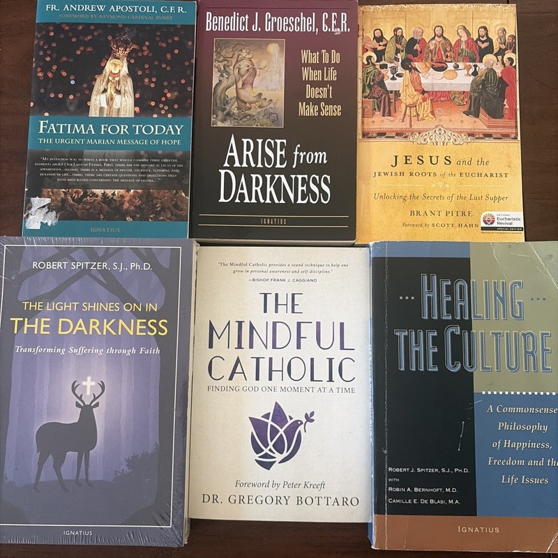 6 Catholic Book Lot Fatima Spitzer Groeschel Pitre Bottaro Apostoll Healing