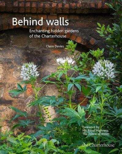 Behind walls: Enchanting hidden – Hardcover, by Davies Claire – Very Good b