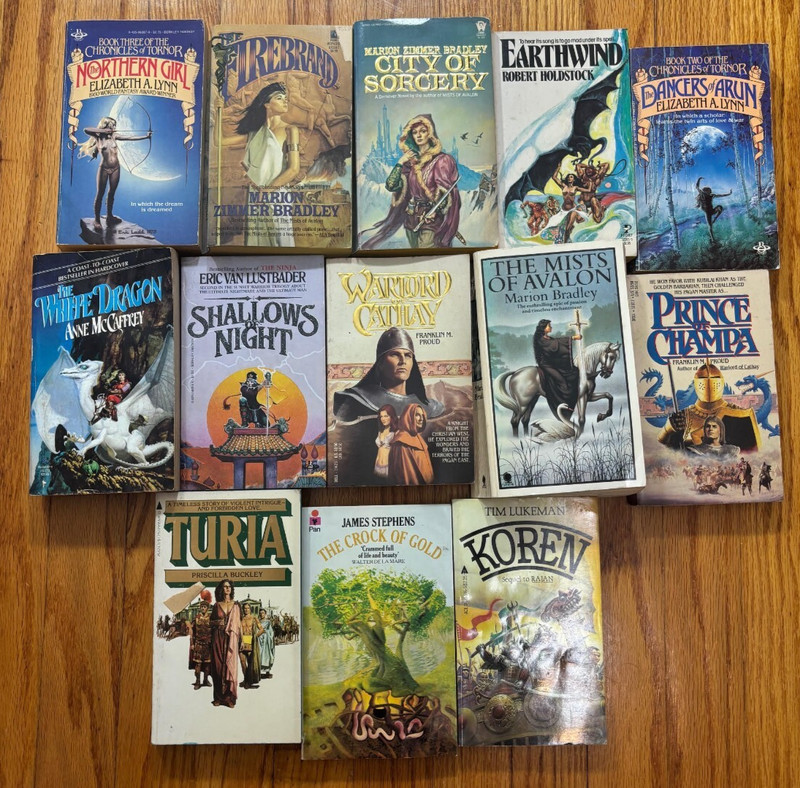 14 Vintage Paperbacks – Fantasy, Sword & Sorcery, Heroic Adventure Lot