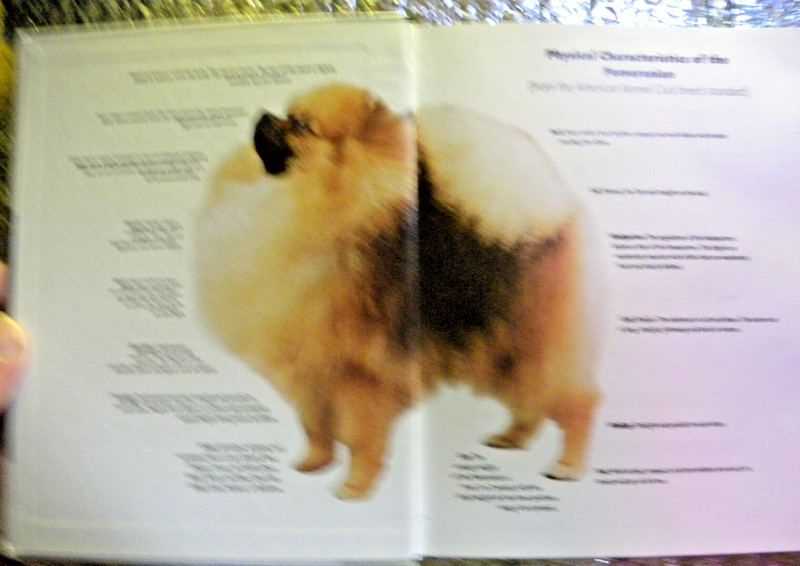 Pomeranian Hardcover Juliette Cunliffe 2005 Dog Owners Guide Book FREE SHIPPING gallery