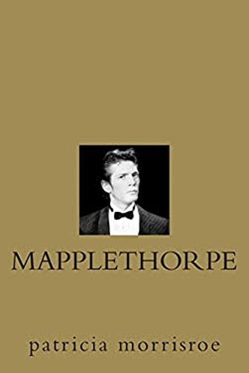 Mapplethorpe : A Biography Hardcover Patricia Morrisroe