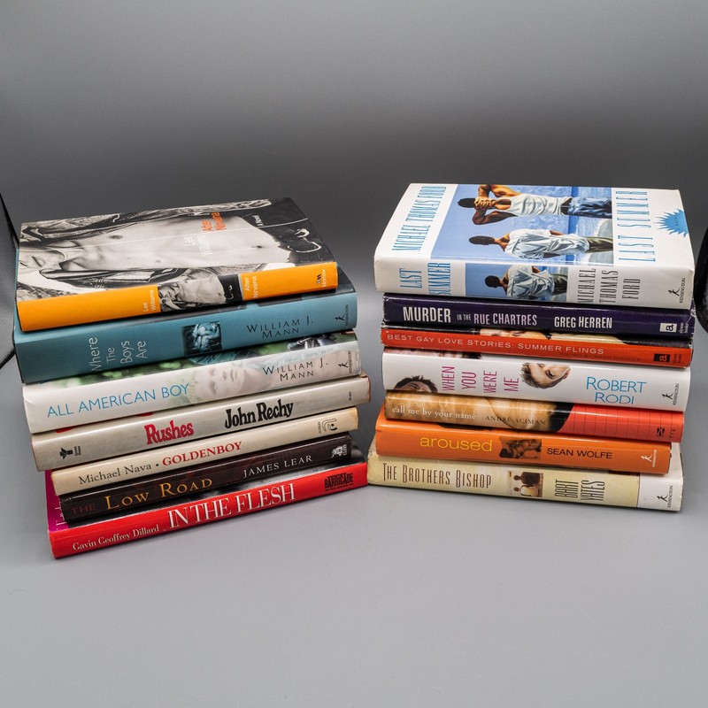 Gay Novels Erotica Gay Interest Lot of 14 Books English Build Your Library! #D