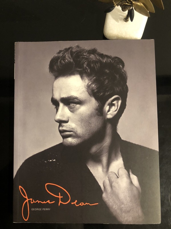 James Dean George Perry Palazzo UK 2011 First Ed/F.Print SC VG Bio 🎬