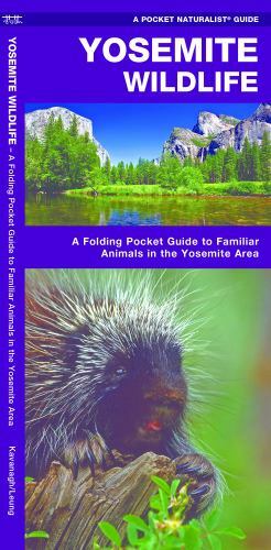 Yosemite Wildlife (Nature Observation North America) Kavanagh Waterford Pres…