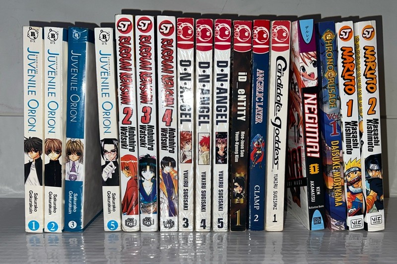 Lot of 17 Manga Graphic Novels Mixed Random- See Pictures for Titles – English