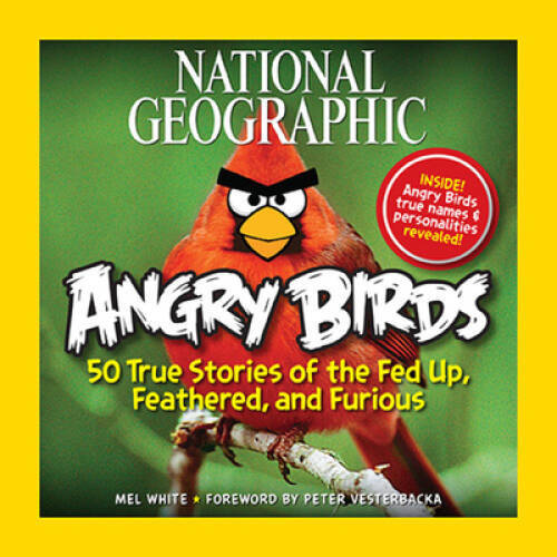 National Geographic Angry Birds: 50 True Stories of the Fed Up, Feathered – GOOD