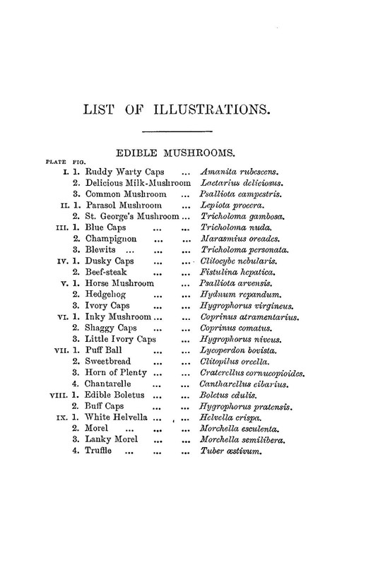 1894 Edible And Poisonous Mushrooms 158 Pages gallery