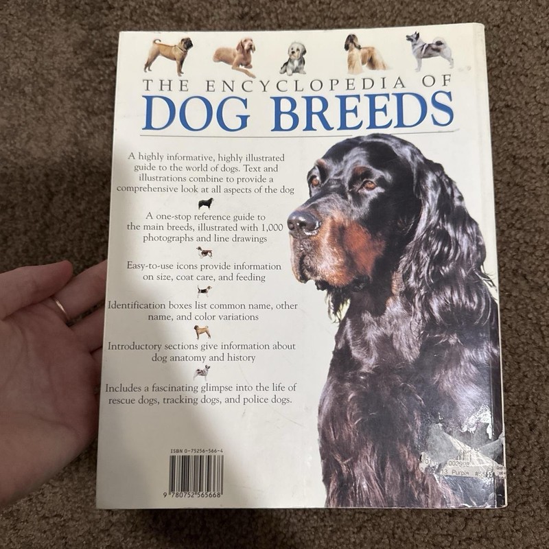 Encyclopedia of Dog Breeds by Juliette Cunliffe 1000 Photos/400 Breeds gallery