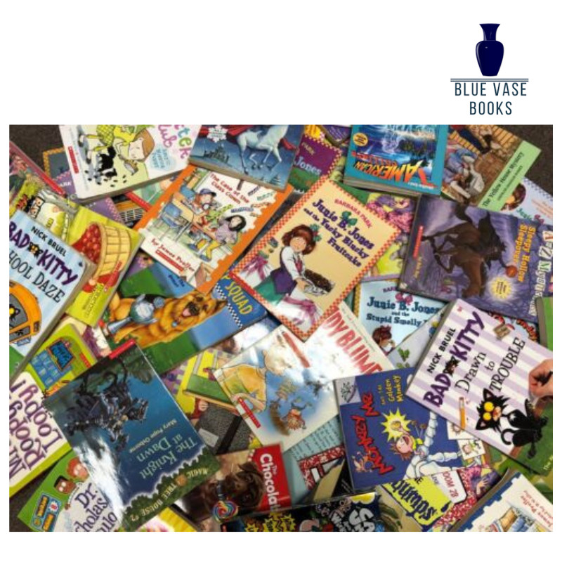 Lot of 30 kids young instant library chapter books bundle paperback - GOOD gallery