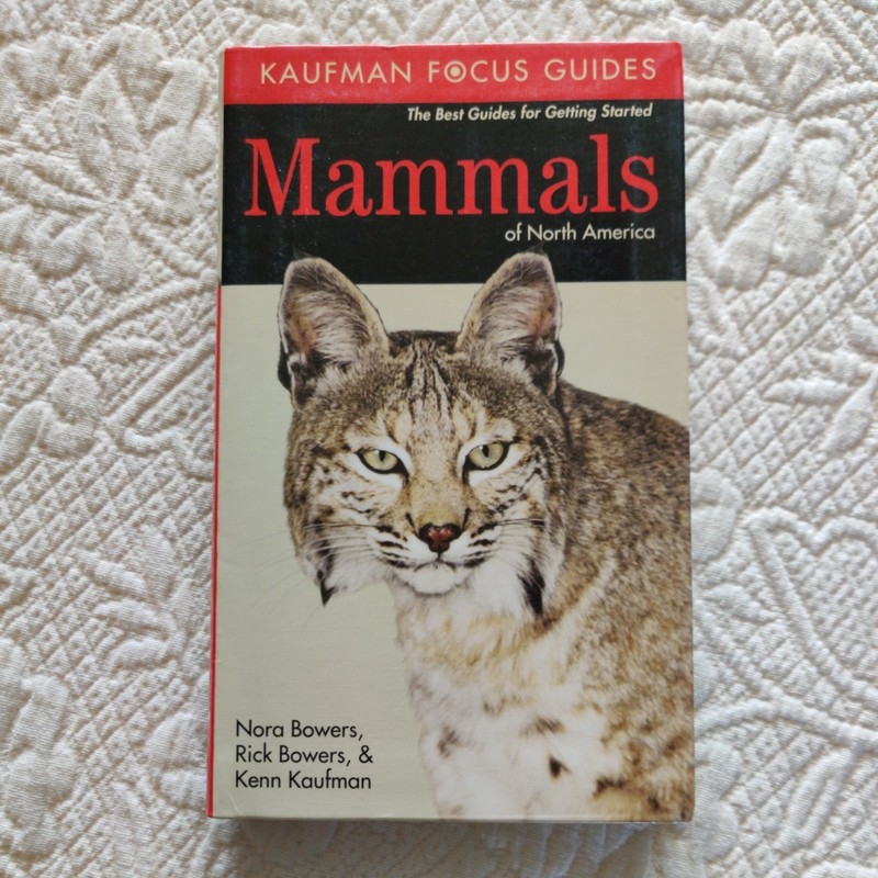 Mammals of North America (Kaufman Focus Guides) – Paperback – VERY GOOD