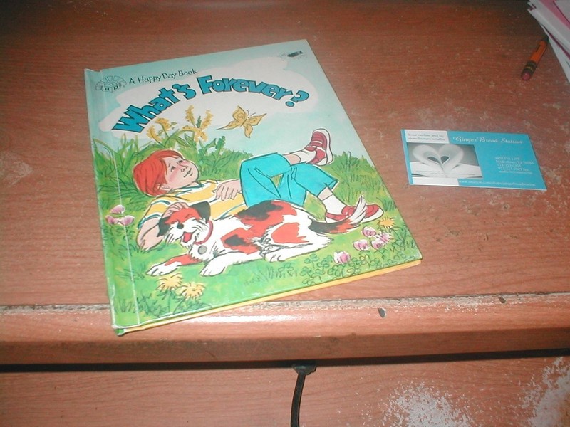 What’s Forever?/3492 (Happy Day Books)