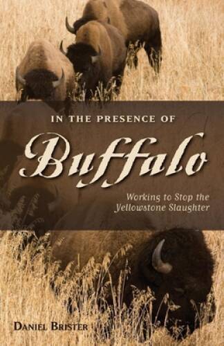 In the Presence of Buffalo: Working to Stop the Yellowstone Slaughter (Th – GOOD