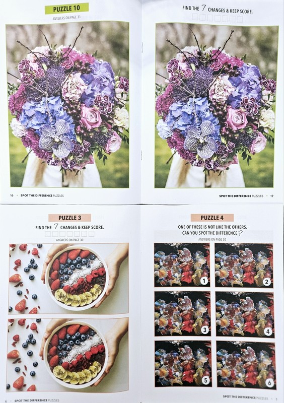 Bundle Of 4 Spot the Difference Puzzle Books Intermediate/ Challenging 2024 NEW! gallery