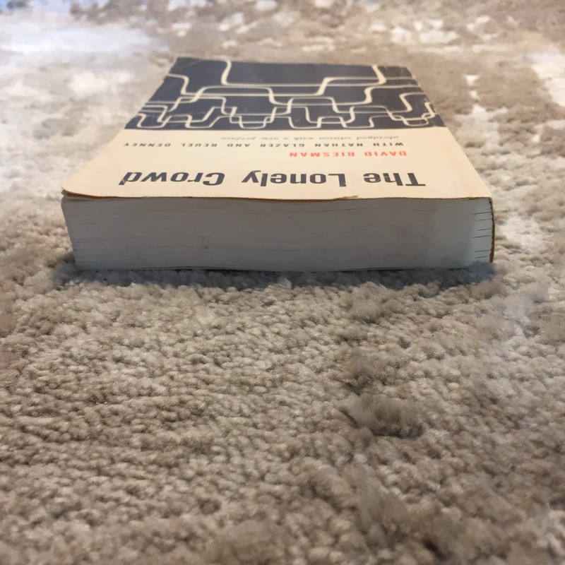 The Lonely Crowd David Riesman 1969 Yale University Press Sociology Paperback gallery