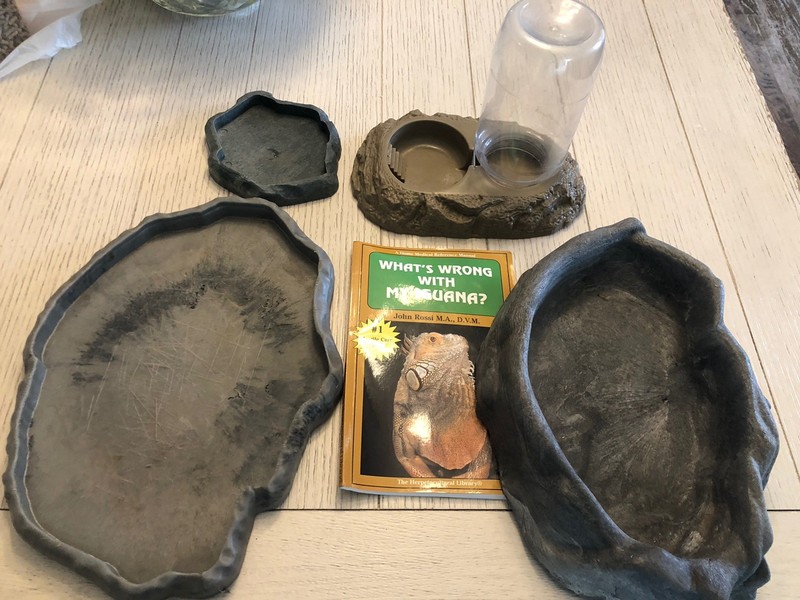 Iguana Care Kit Trays Water Feeder With a Book What’s Wrong With My Iguana