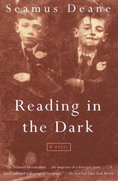 Reading in the Dark : A Novel Paperback Seamus Deane
